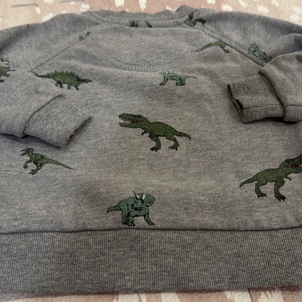 Sovereign Code Boys Dinosaur Sweatshirt Gray Size 18M - Picture 9 of 11